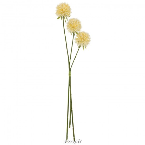 J-Line J Line plantes allium Plantes Aji Jolipa Fleur Allium 3 Pieces Plastique Jaune Clair L.