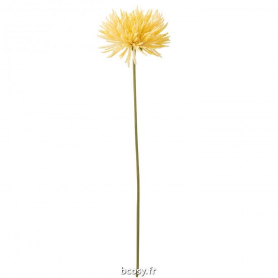 J-Line J Line chrysanthèmes Jolipa Chrysantheme Plastique Jaune Clair.