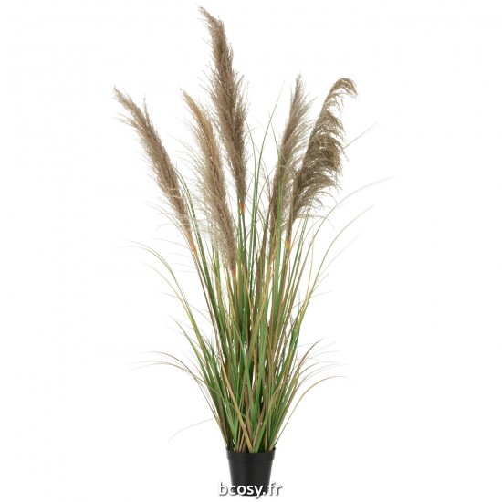 J-Line J Line gazon décoratif Jolipa Herbe De Pampas 5 Têtes En Pot Pvc Vert Beige Small.