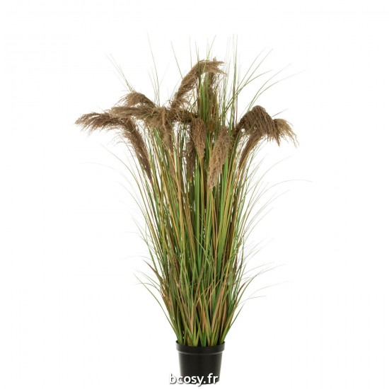 J-Line J Line gazon décoratif Jolipa Herbe De Pampas 13 Têtes En Pot Pvc Vert Beige Large.