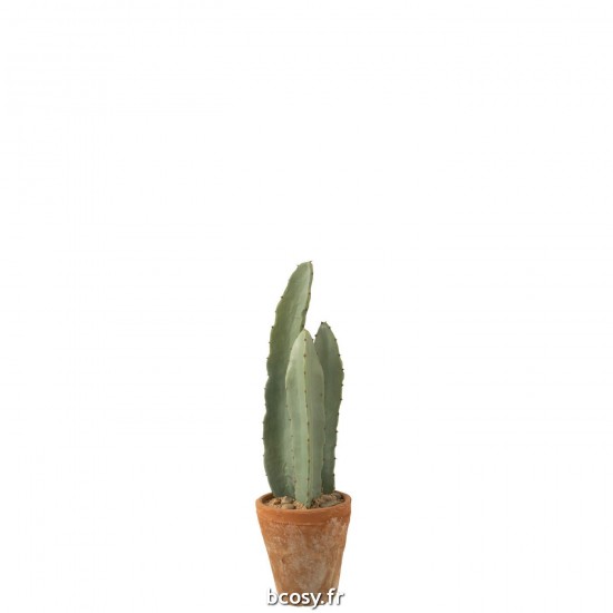 J-Line J Line Succulentes Jolipa Cactus 3 Parties En Pot Plastique Vert Small.