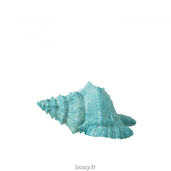 J-Line J Line Coquilles coquillage statuettes Jolipa Coquilalge Poly Azur.