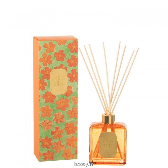 J-Line J Line diffuseurs de parfums Jolipa Huile Parfumee Fleurs Orange Vert.