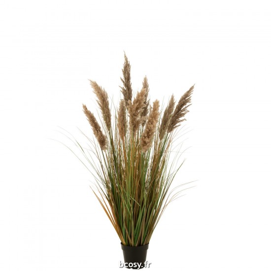 J-Line J Line Herbes Jolipa Herbe De Pampas 9 Têtes En Pot Pvc Vert Beige Medium.