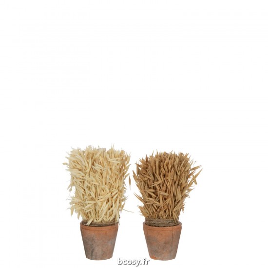 J-Line J Line plantes en pot Jolipa Recolte En Pot Terre Cuite Naturel Assortiment De 2.