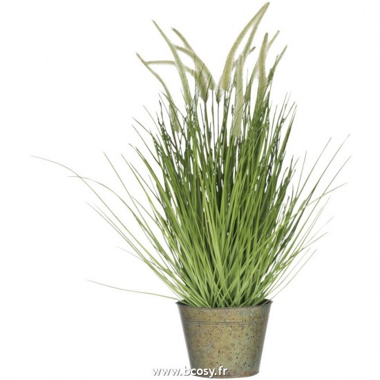 J-Line plantes Jolipa Jline Herbes Graminees Pot En Metal Plastique Vert Medium