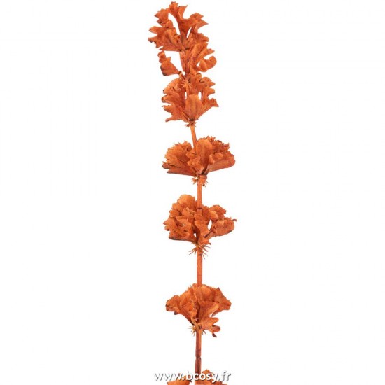 J-line 12122 Jolipa JLine fleurs branche