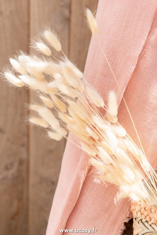 Jolipa J Line Jline Bouquet Queue De Lievre Sechees Ecru Small