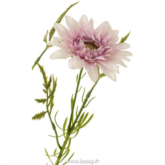 J-line 12428 Jolipa JLine fleurs fleurs diverses.