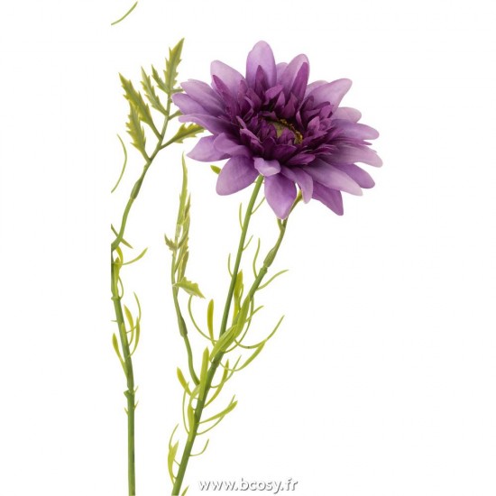 J-line 12429 Jolipa JLine fleurs fleurs diverses