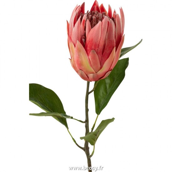 J-line 12459 Jolipa JLine fleurs fleurs diverses