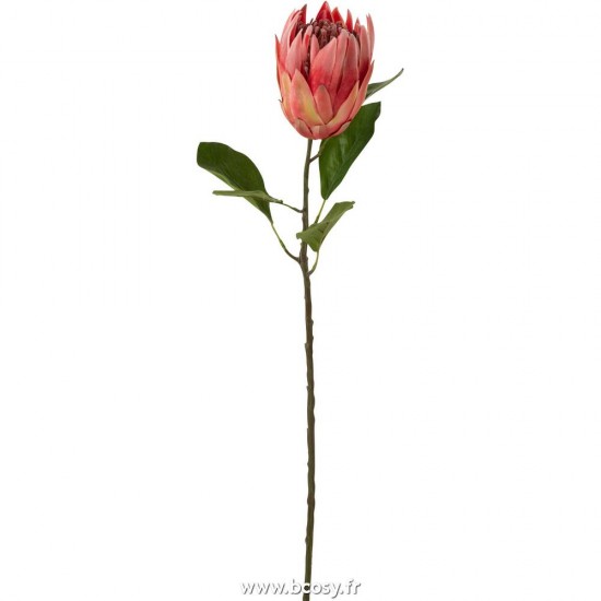 J Line Protea Branche Plastique Rouge L79 Jline 12459 by Jolipa 12459
