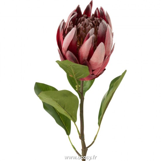 J-line 12460 Jolipa JLine fleurs fleurs diverses