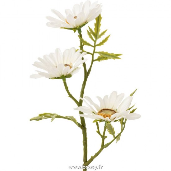 J-line 12465 Jolipa JLine fleurs fleurs diverses.