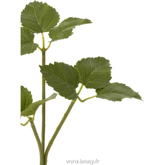 J-line 12474 Jolipa JLine fleurs branche