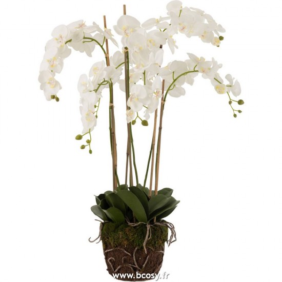 J Line Orchidee En Terre Plastique Blanc Vert Extra Large L70xB60xH98 Jline 12489 by Jolipa 12489