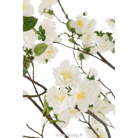 J-line 12494 Jolipa JLine fleurs plante en pot