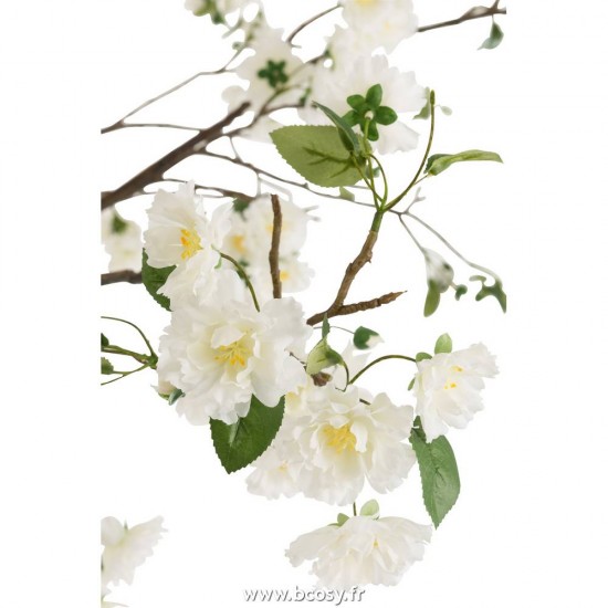 J-line 12495 Jolipa JLine fleurs plante en pot