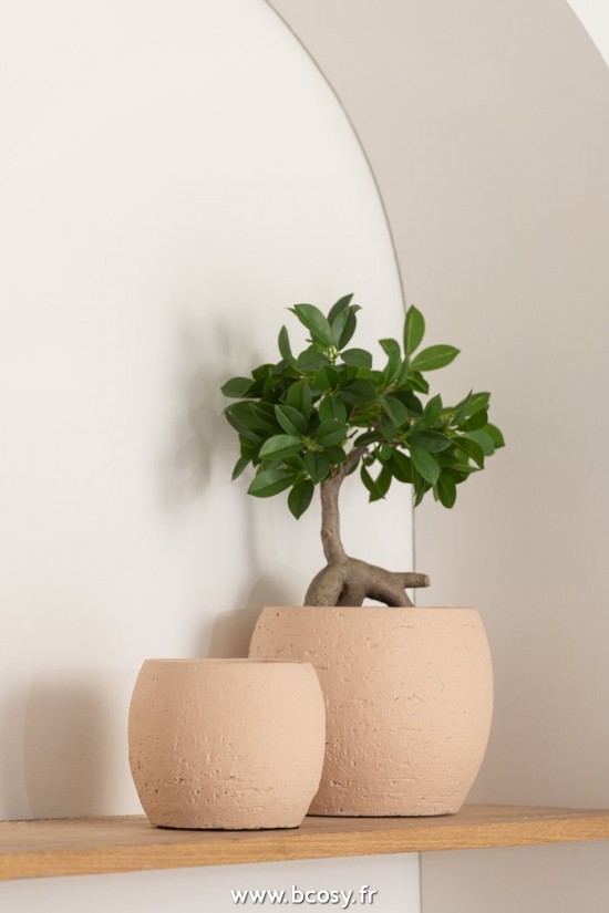 Jolipa J Line Jline Ficus Arbre En Pot Plastique Vert Noir Small