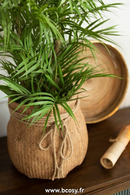 J-Line Palmiers J Line Palmier En Pot Plastique Vert Noir Small