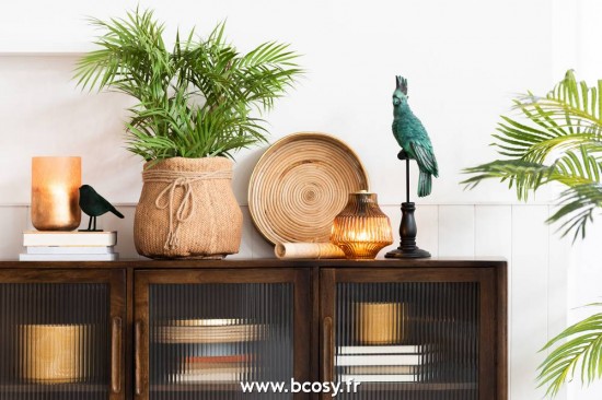 J-line 12521 Jolipa JLine fleurs plante en pot