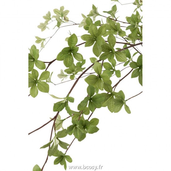 J-line 12523 Jolipa JLine fleurs plante en pot