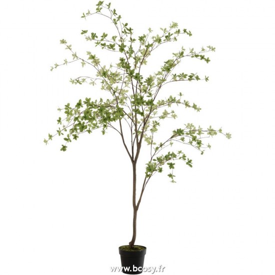 J Line Plante Fines Feuilles Plastique Vert Noir L100xB80xH198 Jline 12523 by Jolipa 12523