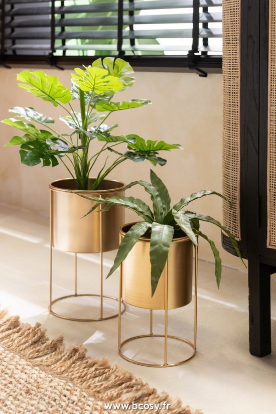Jolipa J Line Jline Philodendron En Pot Plastique Vert Small