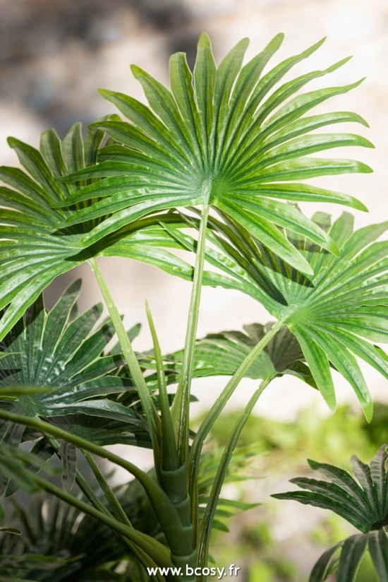 Jolipa J Line Jline Palmier Fan En Pot Plastique Vert