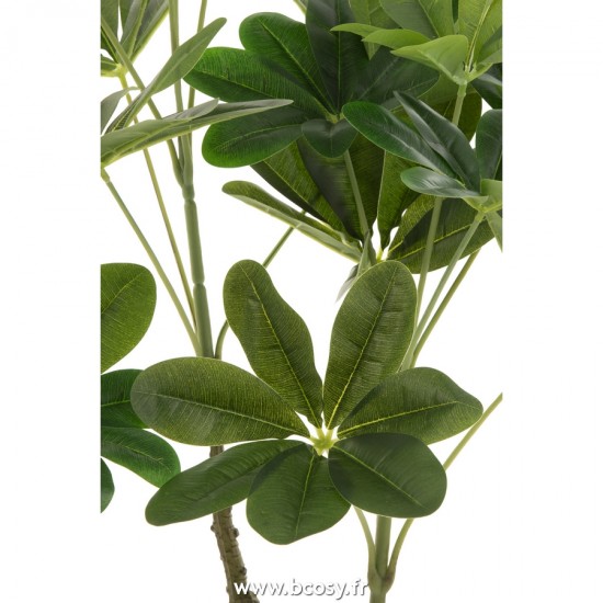 J-line 22023 Jolipa JLine fleurs plante en pot