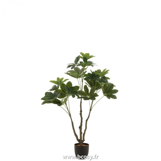 J Line Pachira En Pot Plastique Vert Small L85xB52xH110 cm Jline 22023 by Jolipa 22023