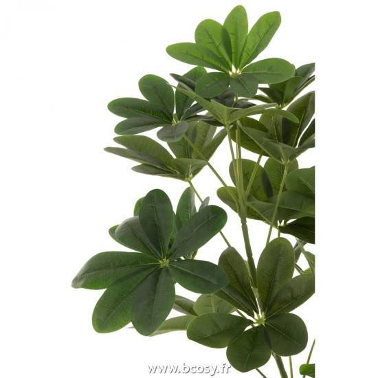 J-line 22024 Jolipa JLine fleurs plante en pot