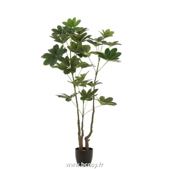 J Line Pachira En Pot Plastique Vert Large L90xB70xH150 cm Jline 22024 by Jolipa 22024