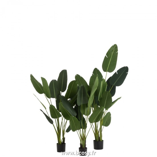Jolipa J Line Jline Strelitzia Plastique Vert Large