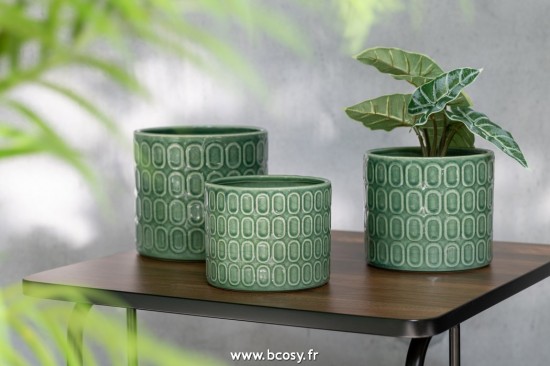 Jolipa J Line Jline Anthurium Taro Geant En Pot Plastique Vert Assortiment De 2