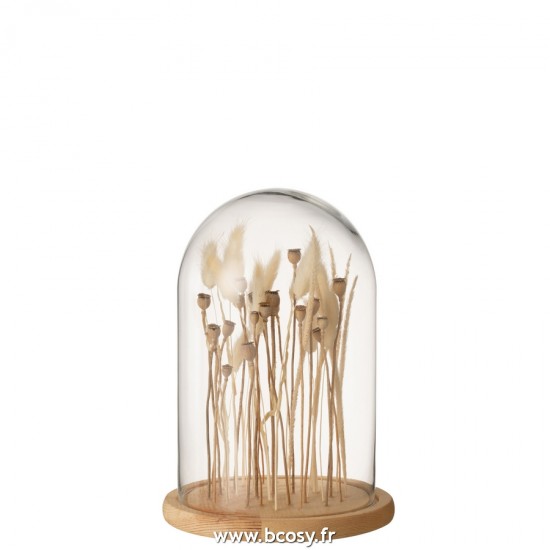 J Line Cloche En Verre Sur Fleurs Sechées Ecru Brun Verre Bois Small L18xB18xH26 cm Jline 22247 by Jolipa 22247