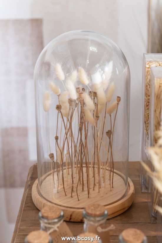 Jolipa J Line Jline Cloche En Verre Sur Fleurs Sechées Ecru Brun Verre Bois Large