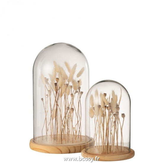 J-line 22248 Jolipa JLine objets deco cloche en verre avec objet