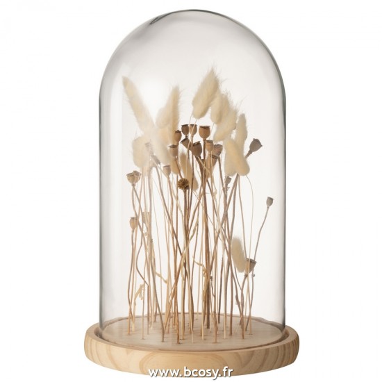 J Line Cloche En Verre Sur Fleurs Sechées Ecru Brun Verre Bois Large L23xB23xH38 cm Jline 22248 by Jolipa 22248