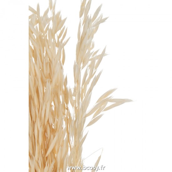 J-line 22461 Jolipa JLine fleurs fleur sechee