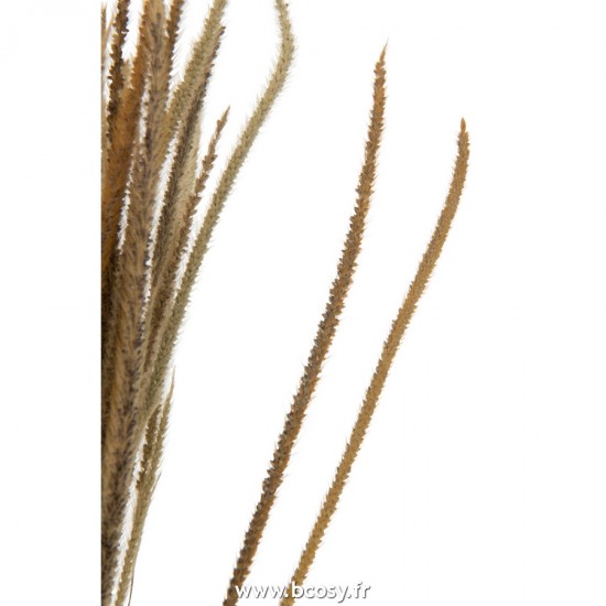 J-line 22467 Jolipa JLine fleurs fleur sechee