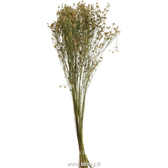 J Line Botte Fleurs De Lin Sechees Lin Jaune 70H Jline 2619 by Jolipa 2619