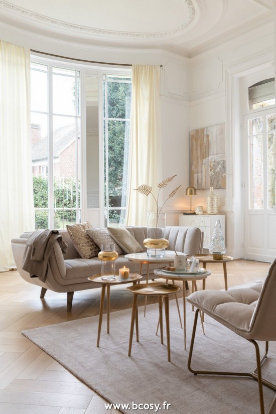 Jolipa Tapis Rectangle Viscose Coton Beige.