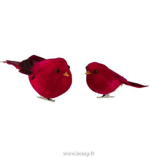 J-line 2884 Jolipa JLine materiel de decoration divers