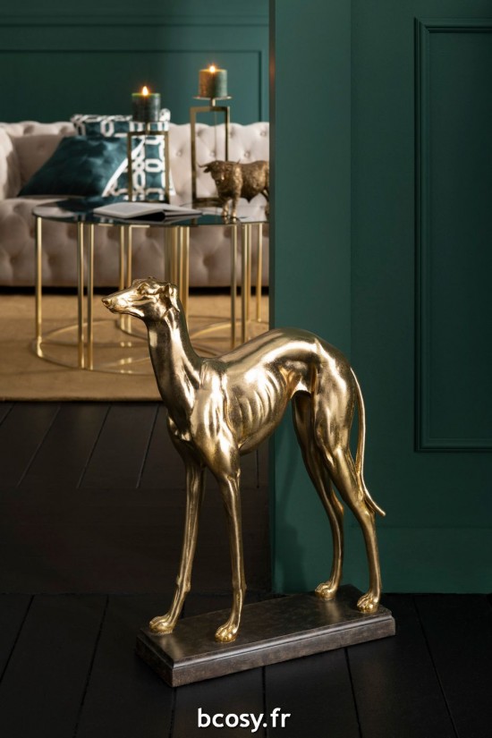 Jolipa Levrier Droit Poly Or.