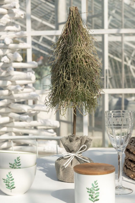 J-line 45255 Jolipa JLine services verre.