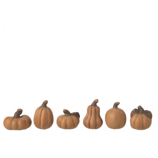 J-line 47945 Jolipa JLine objets deco nature.