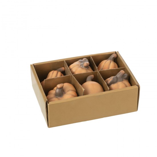 J-Line J Line La nature Photo de nature Photos de la nature Jolipa Boite 6 Citrouille Porcelaine Marron.