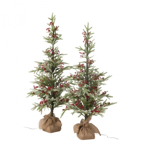 J-line 48783 Jolipa JLine objets deco arbre decoratif.