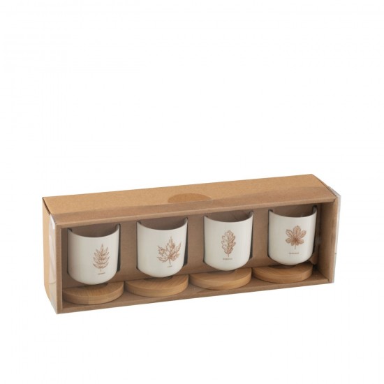J-Line J Line tasses de cafe Jolipa Boite 4 Tasse A Cafe Sous Tasse Bambou Feuille Boite Cadeau Ceramique Marron.